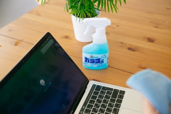 Aufgeräumter Büroarbeitsplatz mit Laptop und Pflanze